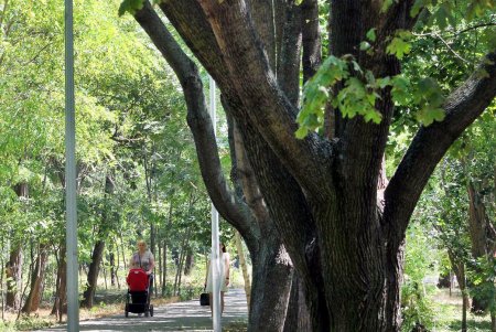 Маленькие одесситы теперь смогут порыбачить в парке Победы (фоторепортаж) 