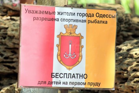 Маленькие одесситы теперь смогут порыбачить в парке Победы (фоторепортаж) 