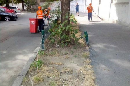 Субботник в четверг: коммунальщики привели в порядок 10 улиц в центре города (фото)