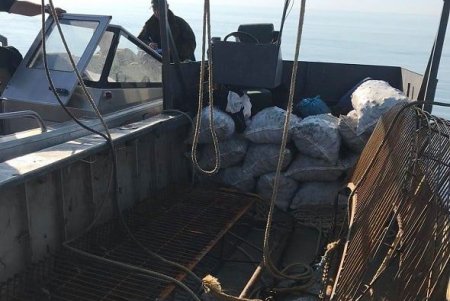 Около курорта Катранка браконьер наловил рапанов на 62 тысячи гривен