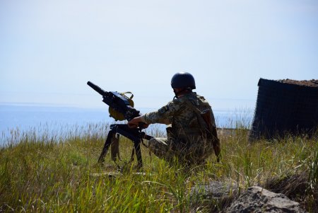 На острове Змеиный прошли тактические учения по обороне территории от условного противника (фото, видео)