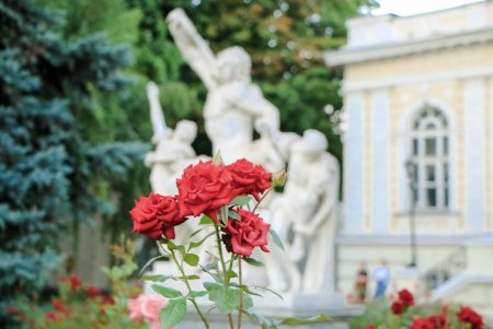 Сто кадров лета в Одессе (фоторепортаж)