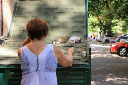 Сто кадров лета в Одессе (фоторепортаж)