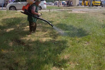 На горячую линию по борьбе с амброзией уже поступают обращения: специалисты выезжают и уничтожают сорняк (фото)