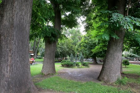 Летний день в Городском саду (фоторепортаж) 