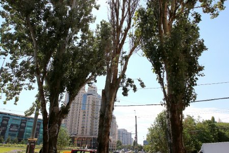 Площадь 10-го Апреля: обелиск «Крылья Победы» и современная застройка из стекла и бетона (фоторепортаж) 