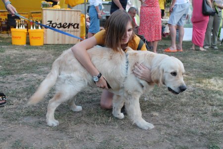 Международная выставка собак в Одессе (фоторепортаж)