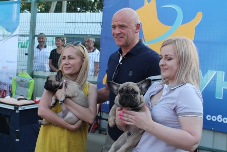 Международная выставка собак в Одессе (фоторепортаж)