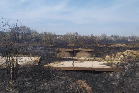 Рядом с гостиничным комплексом в Затоке тушили масштабный пожар (фото)