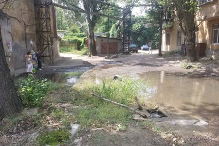 Подтопление на Слободке: поднявшиеся подземные воды оперативно спустили в сточный коллектор (фото)