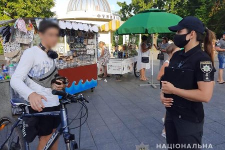 В Приморском районе полицейские выявили более 20 предпринимателей, которые зарабатывали с помощью животных без документов (фото)