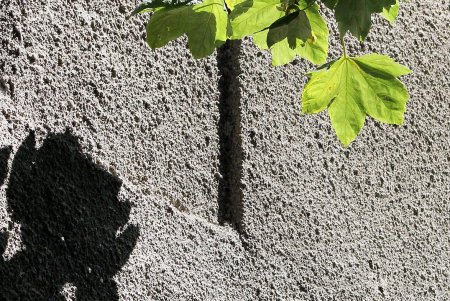 Студенческая улица Дидрихсона (фоторепортаж)