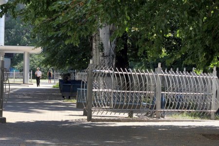 Студенческая улица Дидрихсона (фоторепортаж)