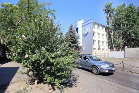 Студенческая улица Дидрихсона (фоторепортаж)