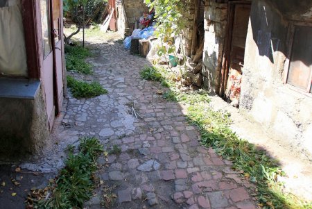 Студенческая улица Дидрихсона (фоторепортаж)