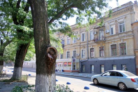 Студенческая улица Дидрихсона (фоторепортаж)
