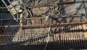 Около курорта Катранка браконьер наловил рапанов на 62 тысячи гривен
