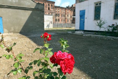 С холодильником, телевизором и картинами: в Одесском СИЗО открыли платные камеры (фоторепортаж)