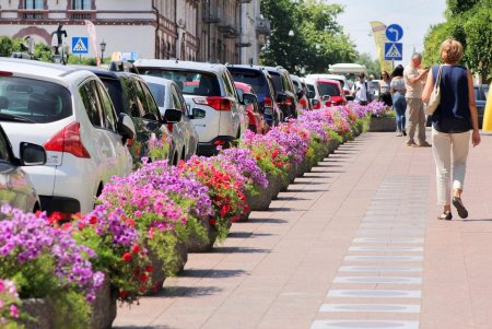 Август в Одессе (фоторепортаж) 