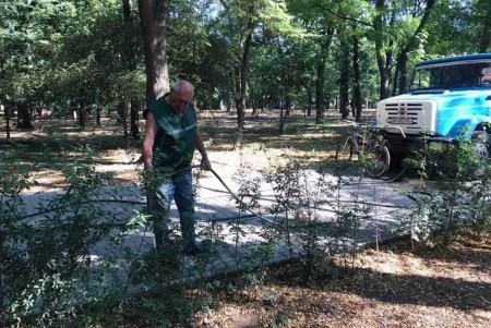 Коммунальщики ежедневно поливают городские деревья по специальным правилам (фото)