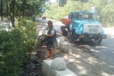 Коммунальщики ежедневно поливают городские деревья по специальным правилам (фото)