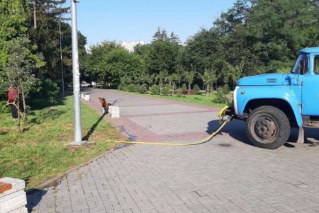 Коммунальщики ежедневно поливают городские деревья по специальным правилам (фото)
