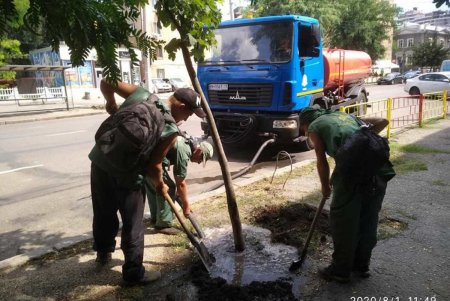 Коммунальщики ежедневно поливают городские деревья по специальным правилам (фото)