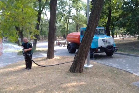 Коммунальщики ежедневно поливают городские деревья по специальным правилам (фото)