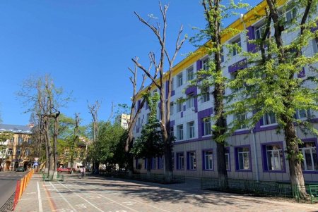 Проводят капремонт крыш и фасадов, открывают спортплощадки: одесские школы и детсады готовят к новому учебному году (фото)