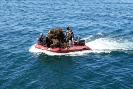 За неделю в заливе Черного моря из ловушек браконьеров спасли 800 краснокнижных крабов (фото, видео)