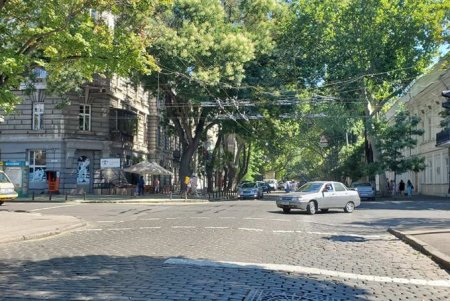 В Приморском районе возле школ и гимназий нанесли новую дорожную разметку