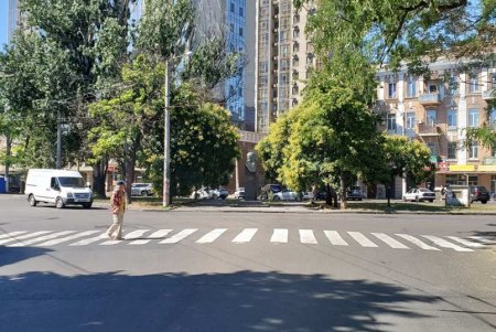 В Приморском районе возле школ и гимназий нанесли новую дорожную разметку