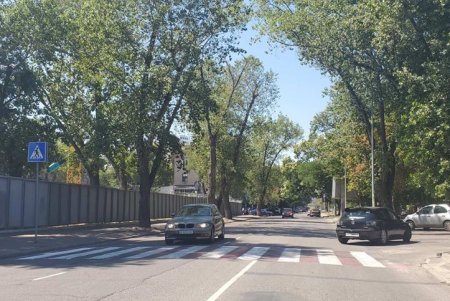 В Приморском районе возле школ и гимназий нанесли новую дорожную разметку