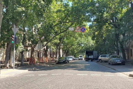 В Приморском районе возле школ и гимназий нанесли новую дорожную разметку