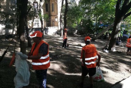 На протяжении недели коммунальщики очищали склоны бульвара Жванецкого от мусора (фото, видео)