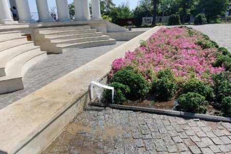 В Воронцовском переулке наркоман бросался камнями в прохожих
