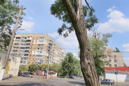Прогулка по улице Косвенной (фоторепортаж)