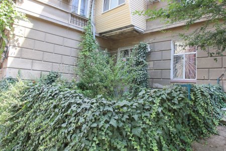 Прогулка по улице Косвенной (фоторепортаж)