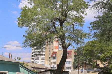 Прогулка по улице Косвенной (фоторепортаж)
