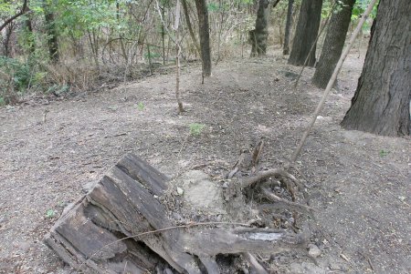Сквер с Курсантской лестницей (фоторепортаж)