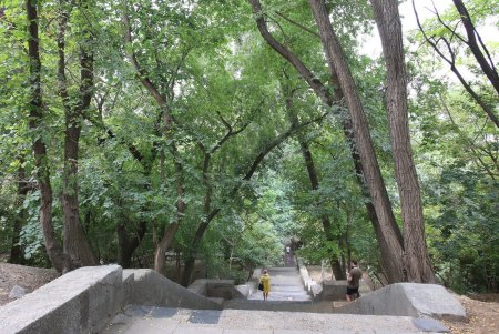 Сквер с Курсантской лестницей (фоторепортаж)
