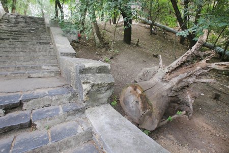 Сквер с Курсантской лестницей (фоторепортаж)