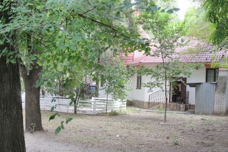 Сквер с Курсантской лестницей (фоторепортаж)