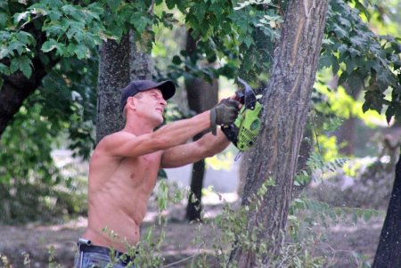 В Дюковском саду чистят пруды (фоторепортаж) 