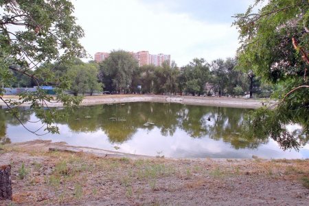В Дюковском саду чистят пруды (фоторепортаж) 