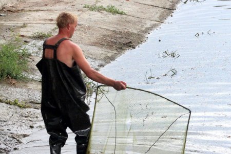 В Дюковском саду чистят пруды (фоторепортаж) 