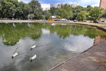 В Дюковском саду чистят пруды (фоторепортаж) 