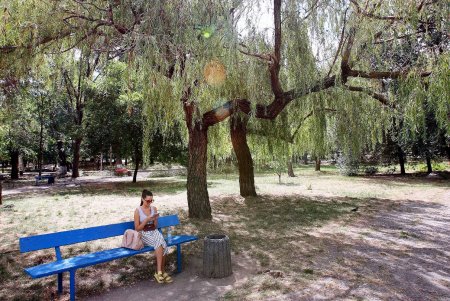 В Дюковском саду чистят пруды (фоторепортаж) 