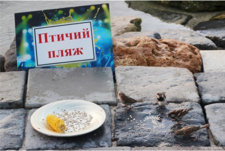 Одессит очищает и благоустраивает морское побережье на деньги из собственной пенсии (фото)