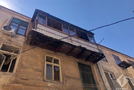Бросали отходы в окна и убивали щенков: на Жуковского спасли девятерых собак, которых содержали в антисанитарии и взаперти